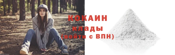 прущие грибы Верхний Тагил