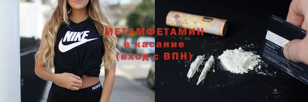 прущие грибы Верхний Тагил