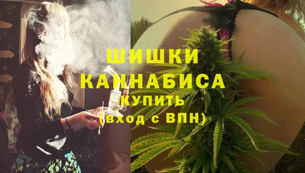 прущие грибы Верхний Тагил