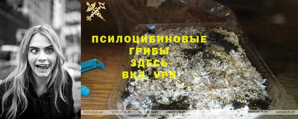 прущие грибы Верхний Тагил
