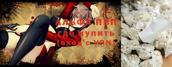 прущие грибы Верхний Тагил