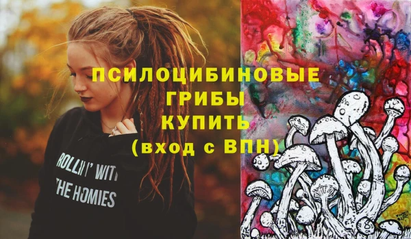 прущие крисы Верея
