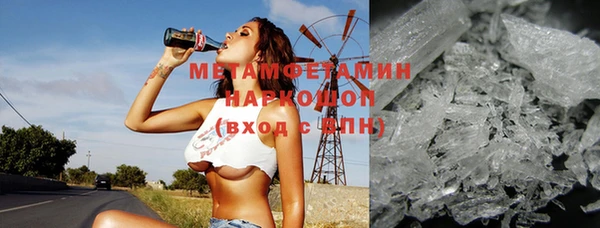 прущие грибы Верхний Тагил