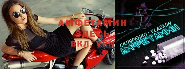 прущие грибы Верхний Тагил