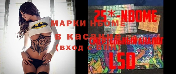 прущие грибы Верхний Тагил